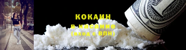 стафф Арсеньев