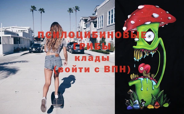 стафф Арсеньев