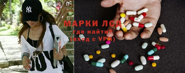 стафф Арсеньев