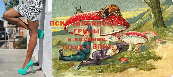 гидропоника Аркадак